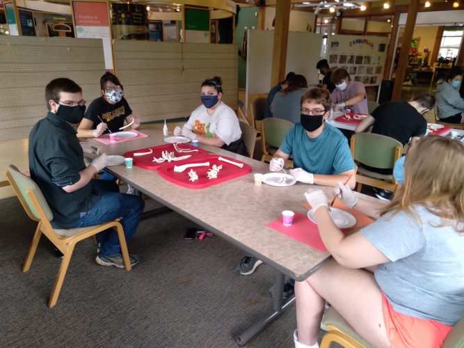 West Liberty University Biology Students Help The Environment and Community